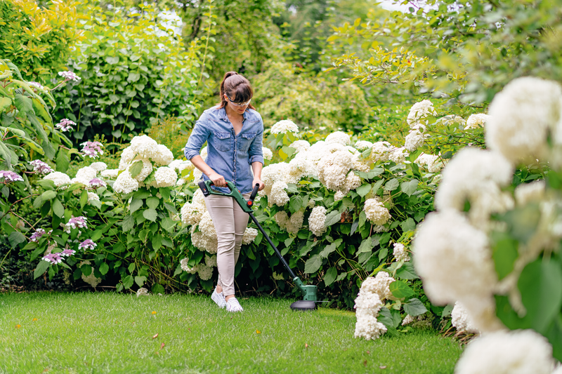 Aparador de relva sem fio Bosch EasyGrassCut 18V-26 - 26 cm