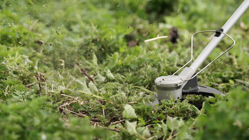 Bosch Garden Cordless Grass Trimmer (AdvancedBrushCut 36V-23-750)