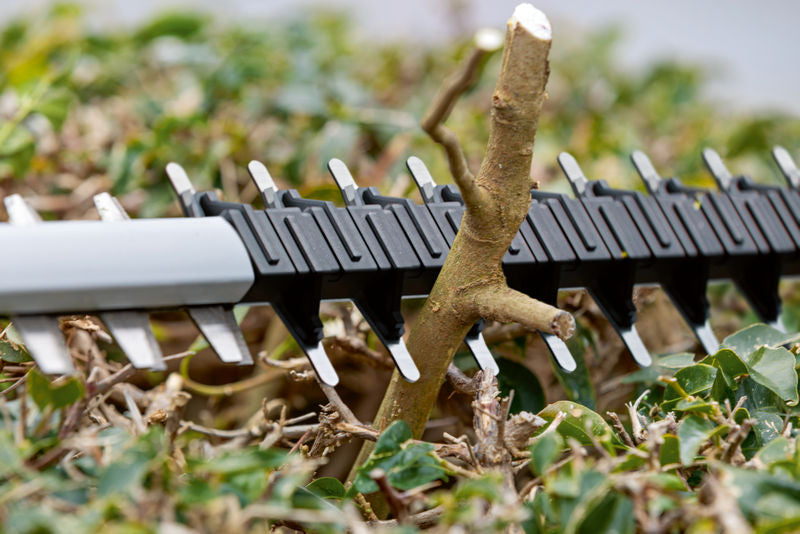 Bosch Hedge Trimmer GHE 18V-60 BT