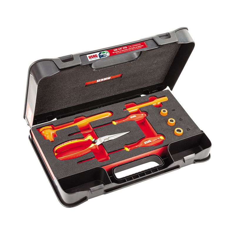 USAG (519 M 098HYB8) Assortment For Safety Of Hybrid And Electric Cars In Abs Case (8 Pcs.)