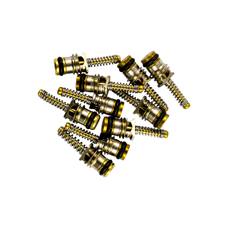 JBM (14597) Bag of 10 Valves for Ref. 53599 - 6x19mm