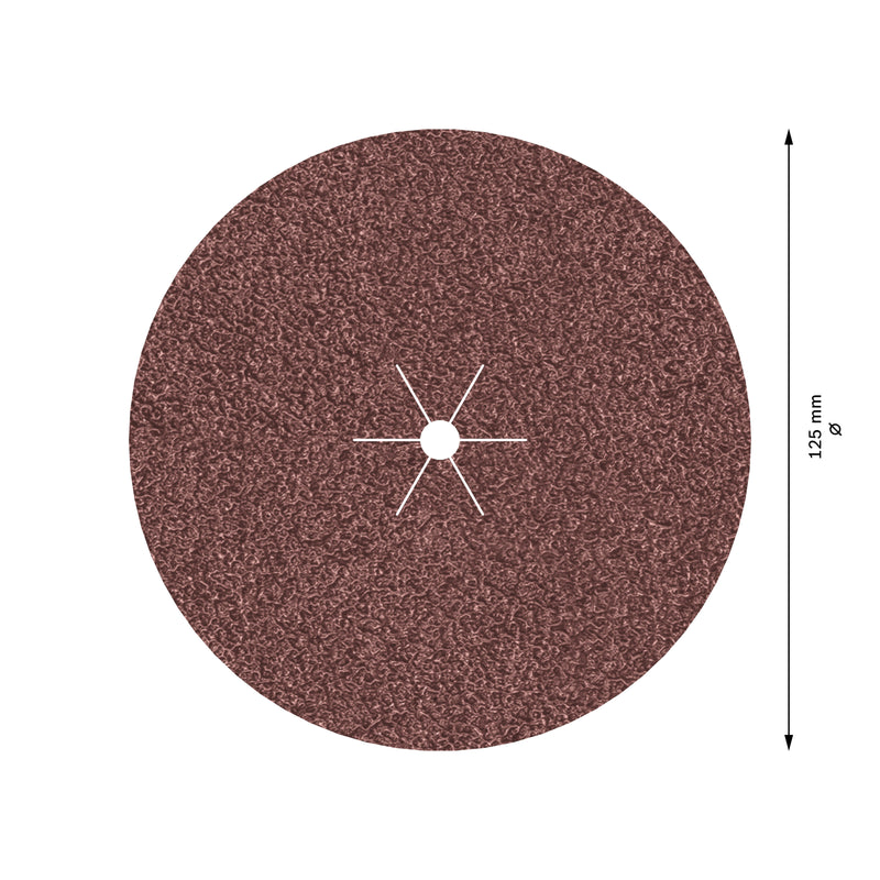 Bosch Sanding Sheet EfWP,125mm,G40,5x