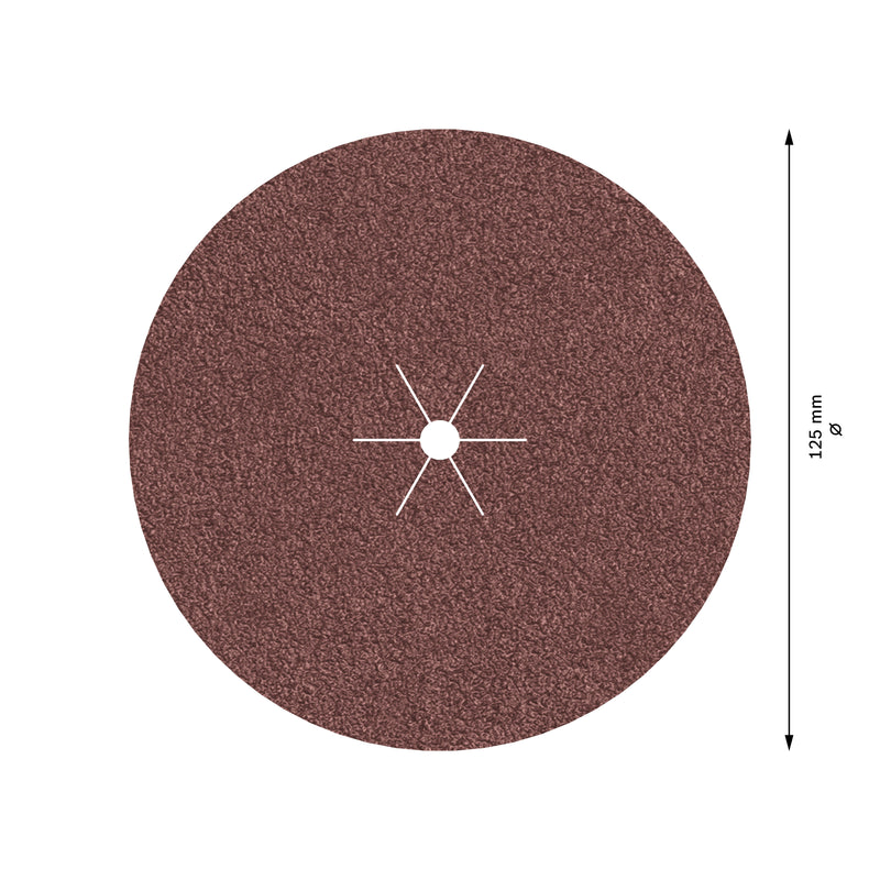 Bosch Sanding Sheet EfWP,125mm,G60,5x