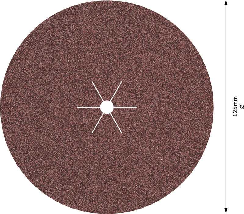 Bosch Sanding Sheet EfWP,125mm,G80,5x