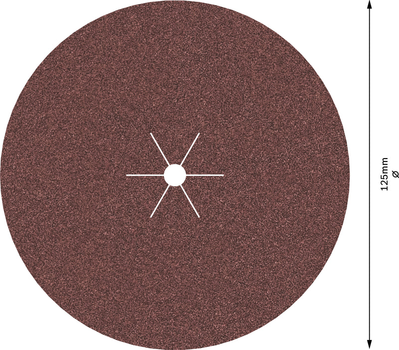 Bosch Sanding Sheet EfWP,125mm,GSet,10x