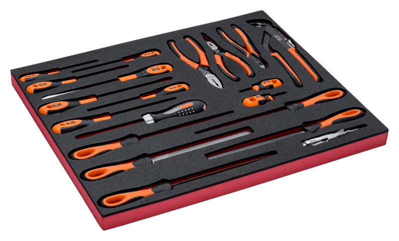 Bahco (FF1A145) Pliers and files, 20 pieces