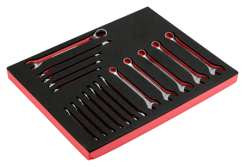 Bahco (FF1F3010) FF1F3010-17 pieces