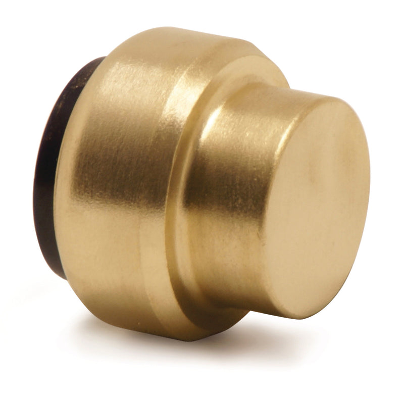 (2150072) Dummy cap 22mm