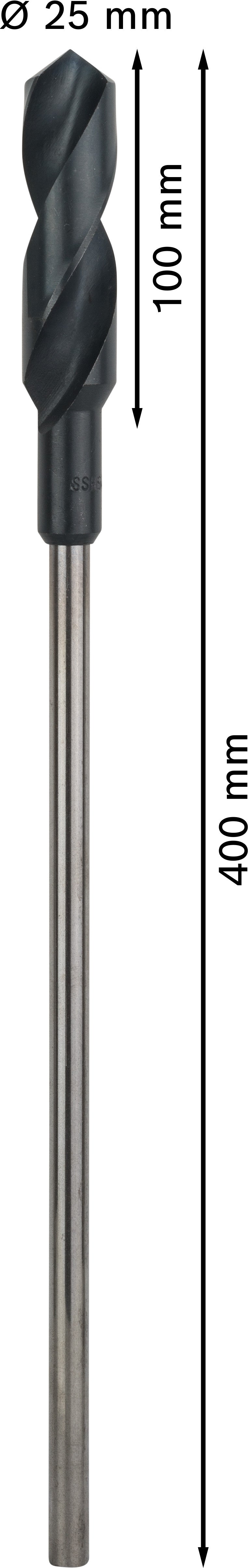 Bosch FORMWORK/INSTALLATION BIT