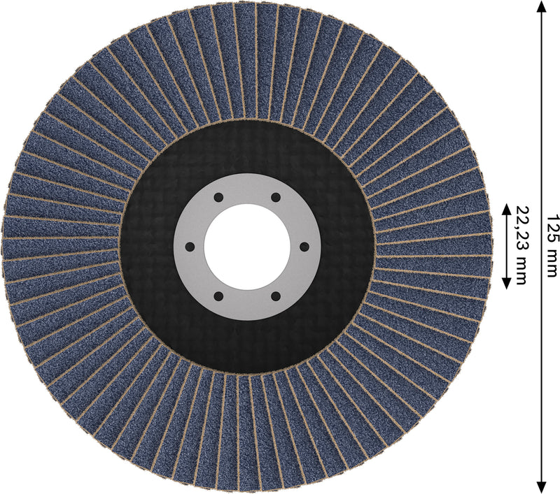 Discos de láminas Bosch Accessories (discos de láminas X451, 125 x 22,23 mm, G40, T29, 60 uds.)