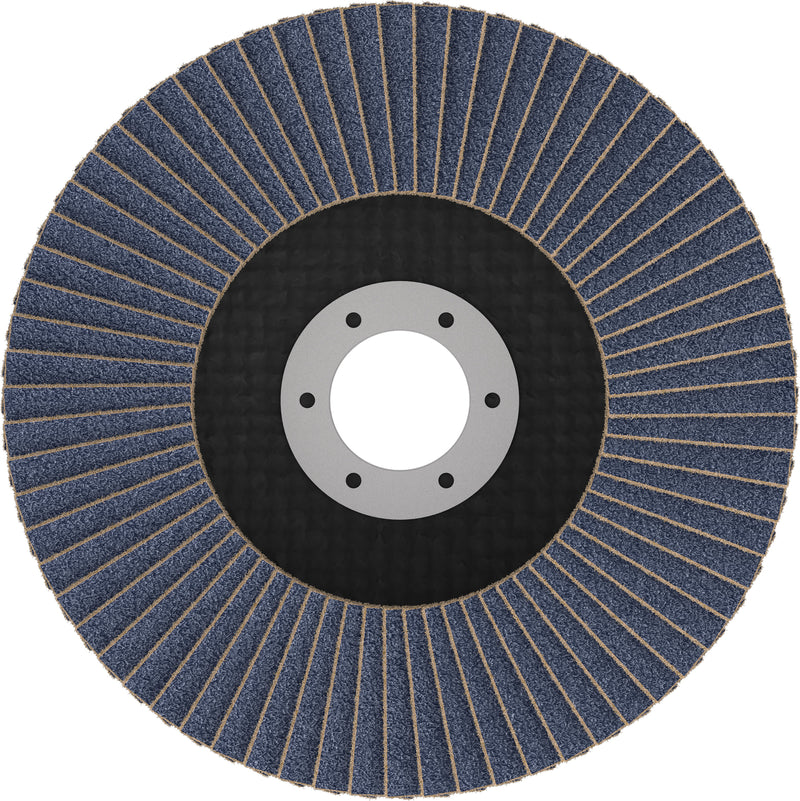 Discos de láminas Bosch Accessories (discos de láminas X451, 125 x 22,23 mm, G40, T29, 60 uds.)
