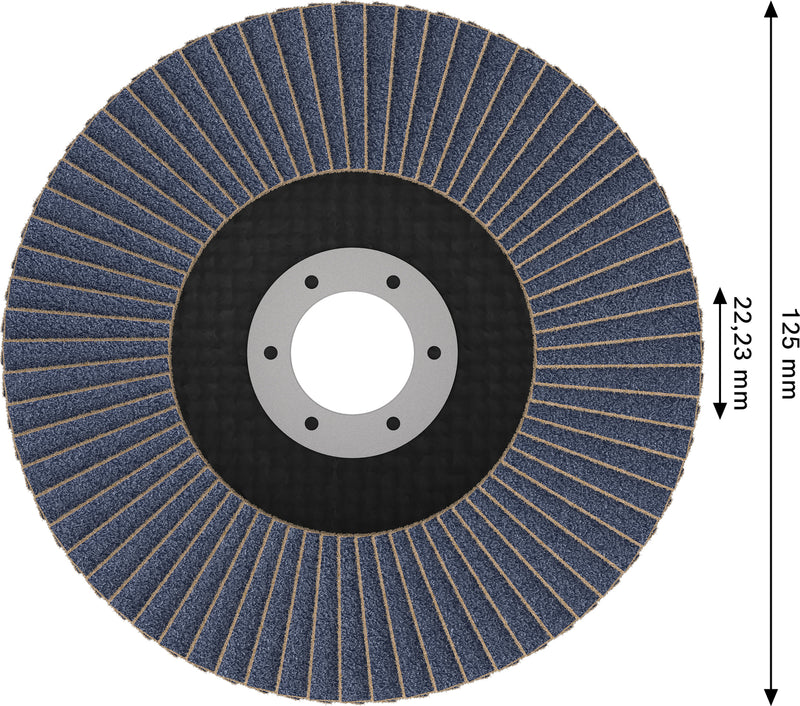 Discos de lamelas Bosch Accessories (Discos de lamelas X451, 125 x 22,23 mm, G40, T29, 15 unid)