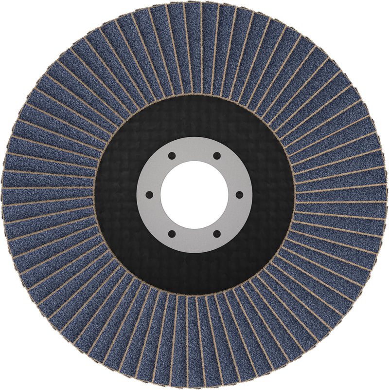 Discos de lamelas Bosch Accessories (Discos de lamelas X451, 125 x 22,23 mm, G40, T29, 15 unid)