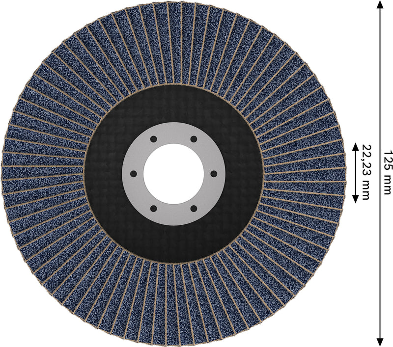 Discos de lamelas Bosch Accessories (Discos de lamelas X451, 125 x 22,23 mm, G80, T29, 60 unid)