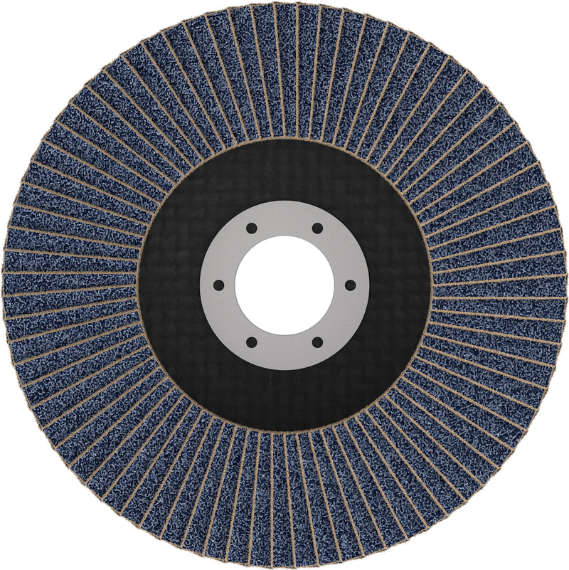 Discos de lamelas Bosch Accessories (Discos de lamelas X451, 125 x 22,23 mm, G80, T29, 60 unid)