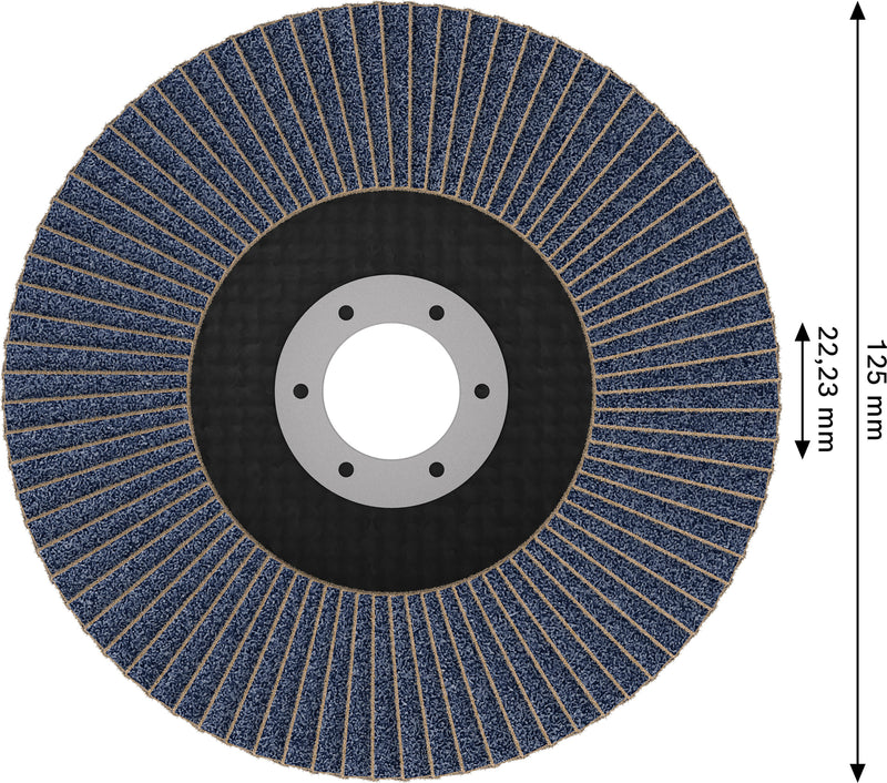 Discos de lamelas Bosch Accessories (Discos de lamelas X451, 125 x 22,23 mm, G120, T29, 60 unid)