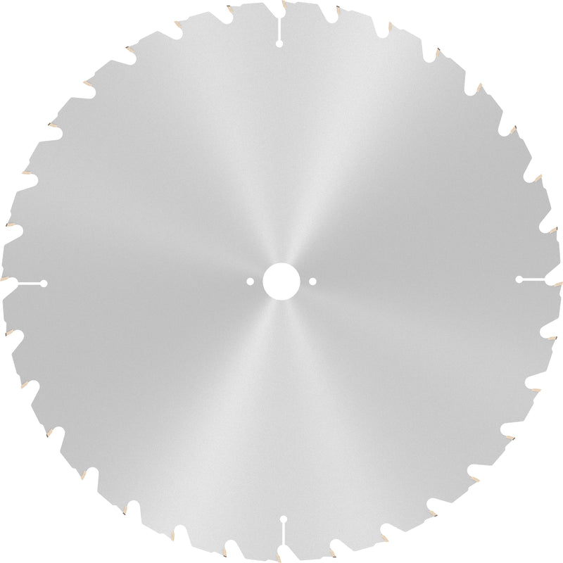 Bosch Circular Saw Blade CW WO S 450x30-32