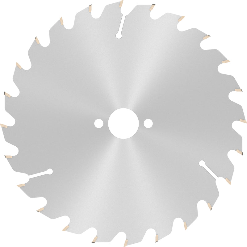 Bosch Circular Saw Blade OP WO H 160x20-24