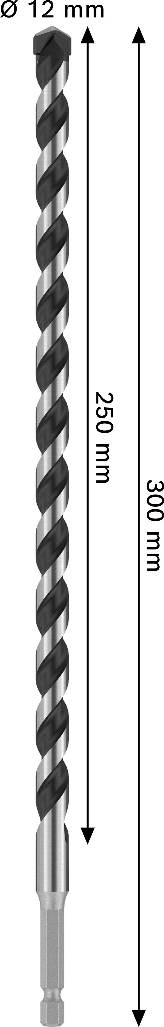 Broca Bosch Accessories (Broca PRO HEX-5, 12x250x300 mm)