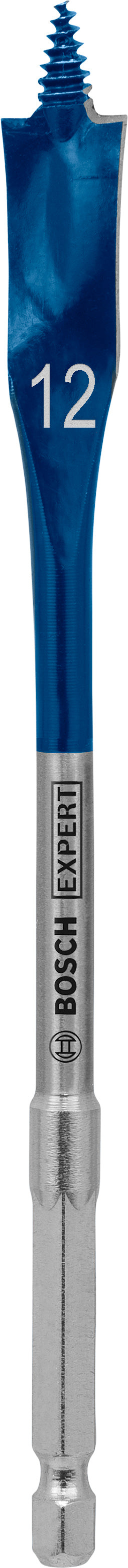 Bosch Self-Drilling Rasp 12x152mm