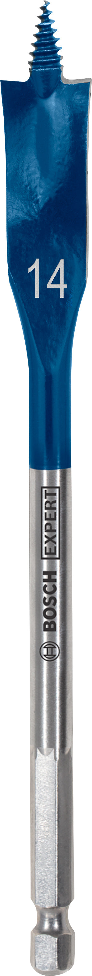 Bosch Self-Drilling Rasp Expert SelfCut Speed