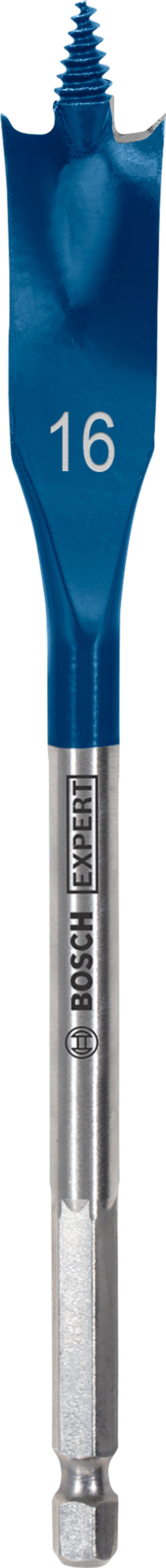 Bosch Self-Drilling Rasp 16x152mm