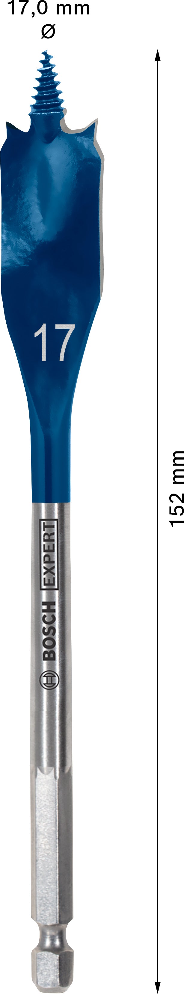 Bosch Self-Drilling Rasp 17x152mm