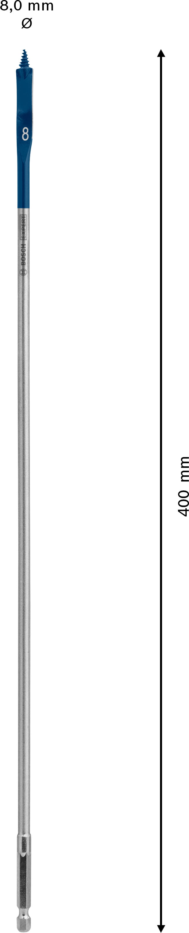 Bosch Self-Drilling Rasp Expert SelfCut Speed