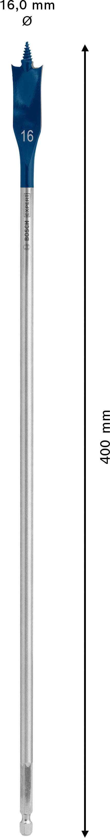 Bosch Self-Drilling Rasp Expert SelfCut Speed