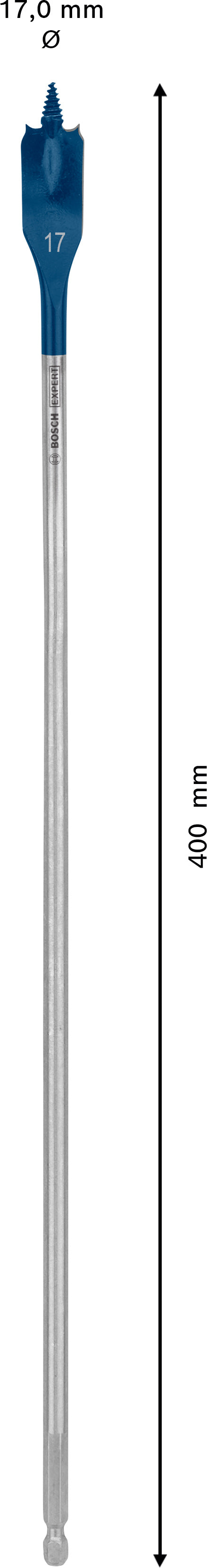 Bosch Self-Drilling Rasp Expert SelfCut Speed