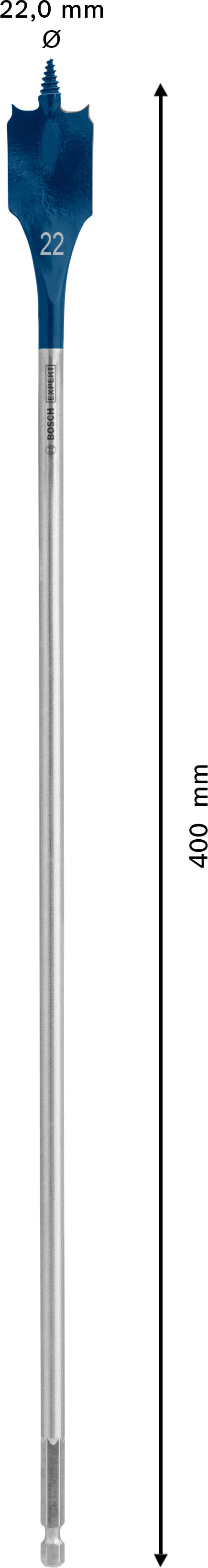 Bosch Self-Drilling Rasp Expert SelfCut Speed