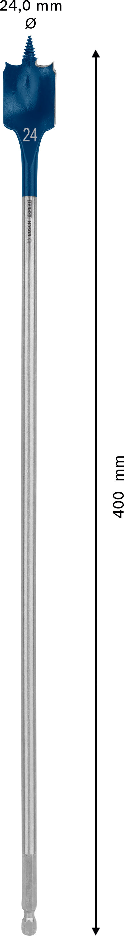 Bosch Self-Drilling Rasp Expert SelfCut Speed