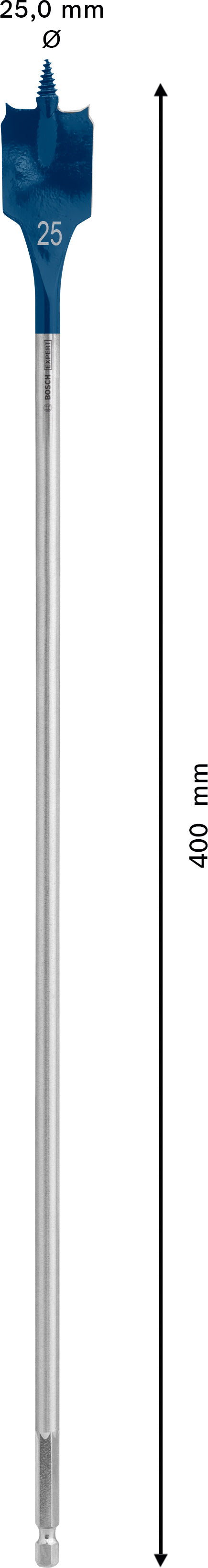 Bosch Self-Drilling Rasp Expert SelfCut Speed