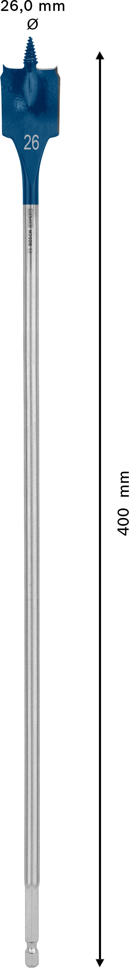 Bosch Self-Drilling Rasp Expert SelfCut Speed