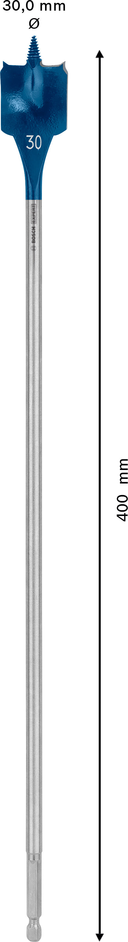Bosch Self-Drilling Rasp Expert SelfCut Speed