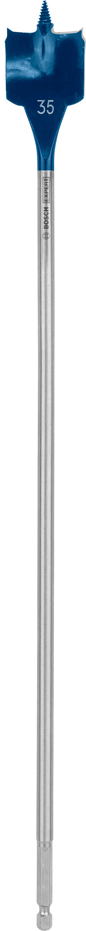 Bosch Self-Drilling Rasp Expert SelfCut Speed