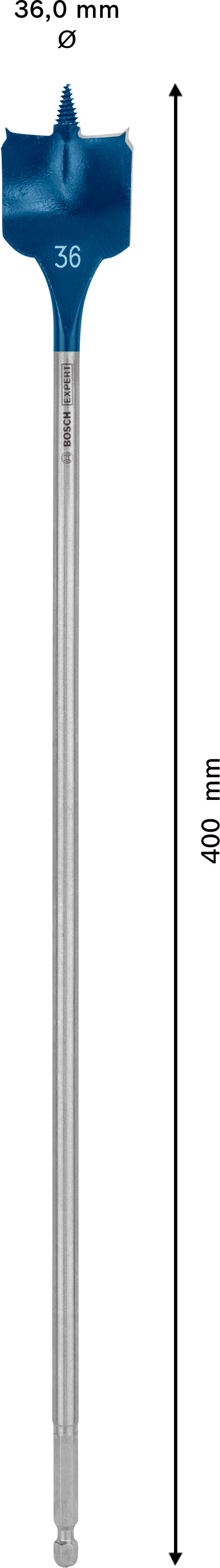 Bosch Self-Drilling Rasp Expert SelfCut Speed