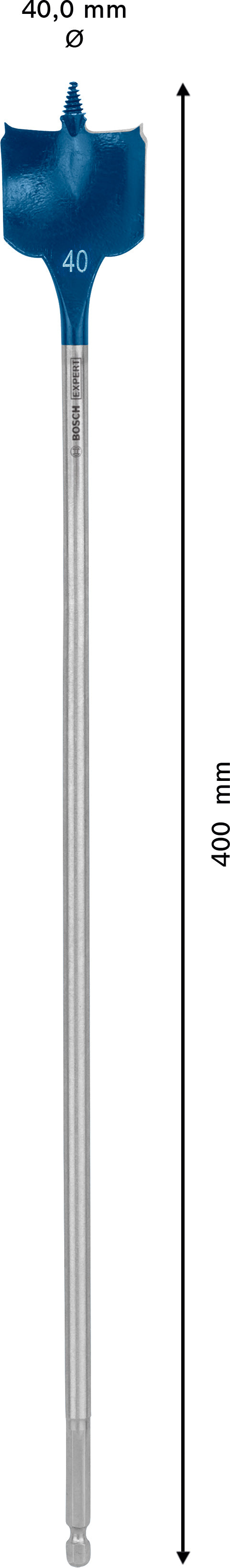 Bosch Self-Drilling Rasp Expert SelfCut Speed