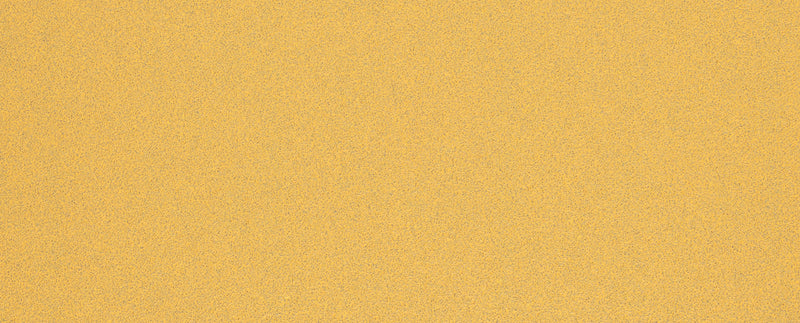 Bosch Sanding Sheet ExC470,G80,93x230mm