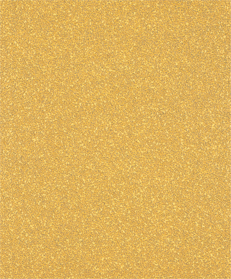 Bosch Sanding Sheet ExC470,G40,230x280mm