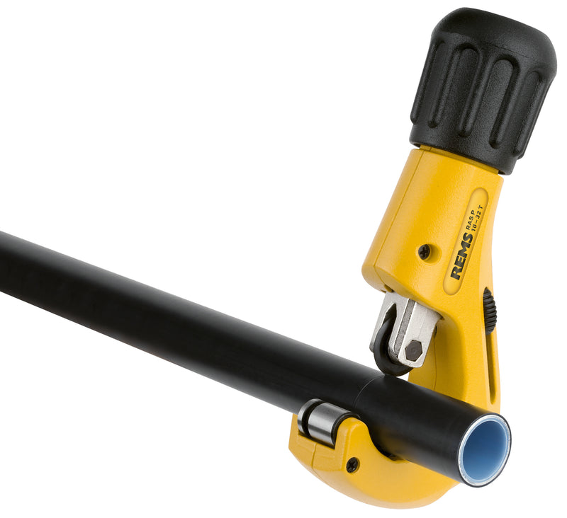 REMS (290001 R) Ras P 10-32 T