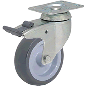 Rueda (300/BIST-125 F4)