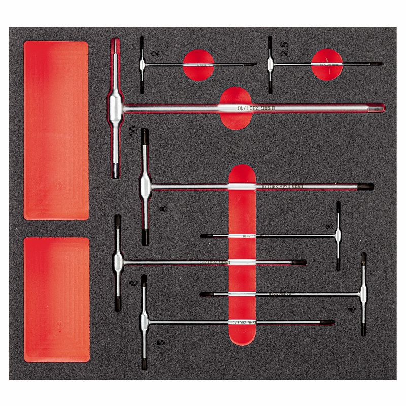 USAG (519 M 280T) Bi-Colour Foam Module With Assortment (8 Pcs)