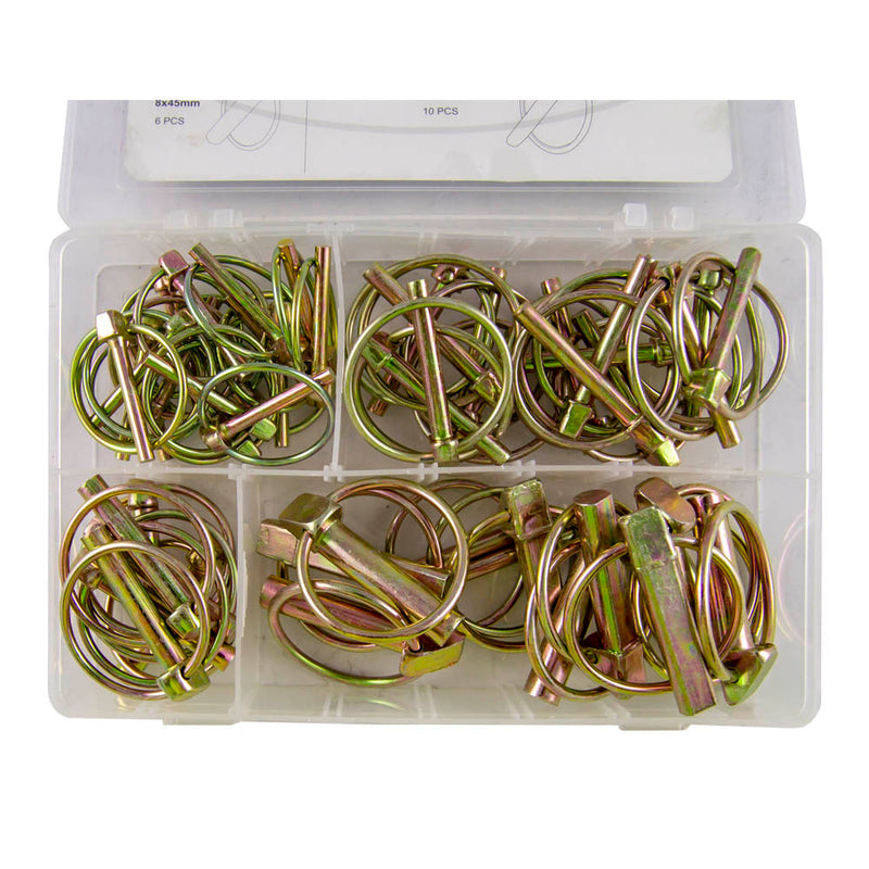 JBM (53371) Surtido de pasadores Lynch, 50 unidades