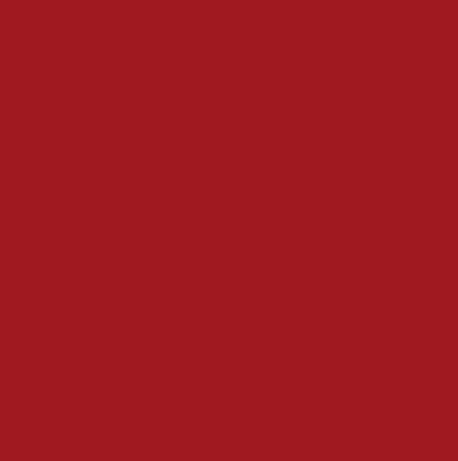 Tinta Spray Acrílico, Signal Red, Ref. 2306, 400ml - SOLCOLOR