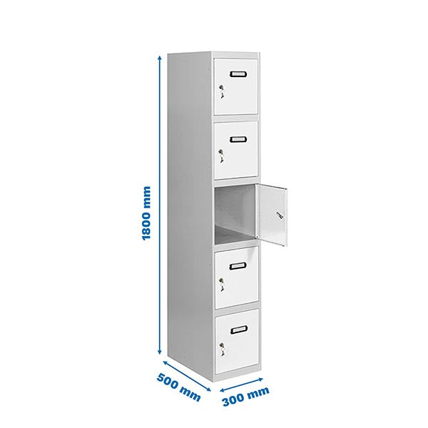 Locker Simonlocker Prof.Dism.5 Door 1/5 300 In Gr/Bl - (1800x300x500)