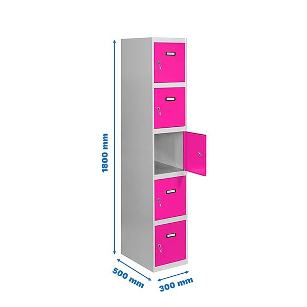 Locker Simonlocker Prof.Dism.5 Door 1/5 300 In Gr/Rs - (1800x300x500)