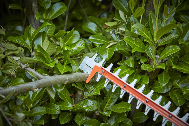 Black&Decker (BCHTS3625L1-QW) Power Command hedge trimmer with a 36V 2.5Ah lithium battery, 55cm, 22mm + saw on the tip