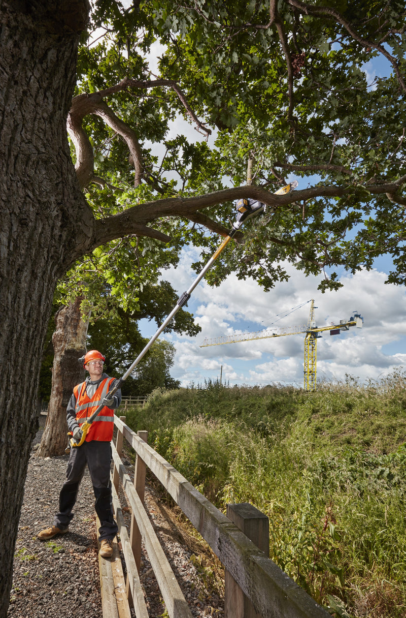 Dewalt (DCMPS567P1-QW) 18V XR 20cm Pole Saw - 1 x 5Ah