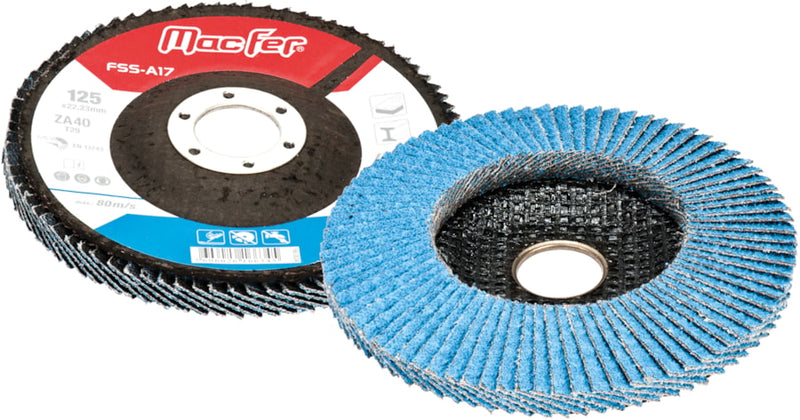 Professional Stainless Steel Lamellated Disc (FSS-A17)